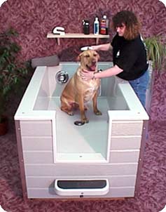 Dogs Bath